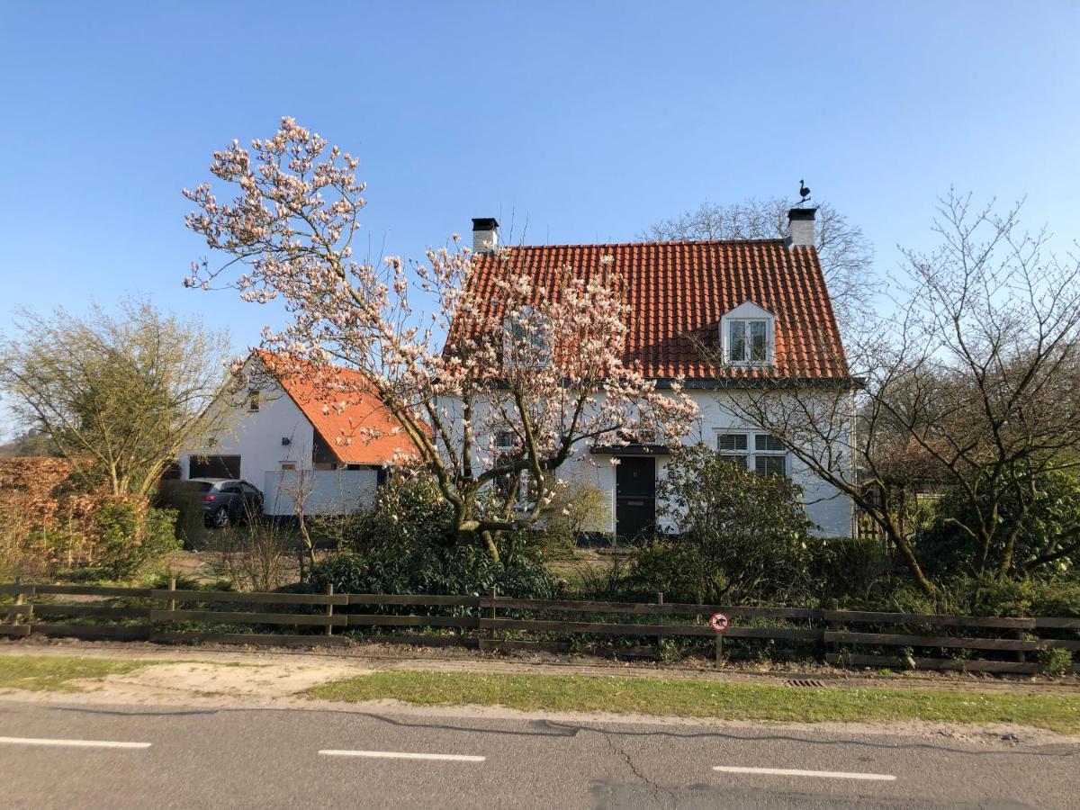 Bed and Breakfast Horse And Hound Riethoven Exteriér fotografie