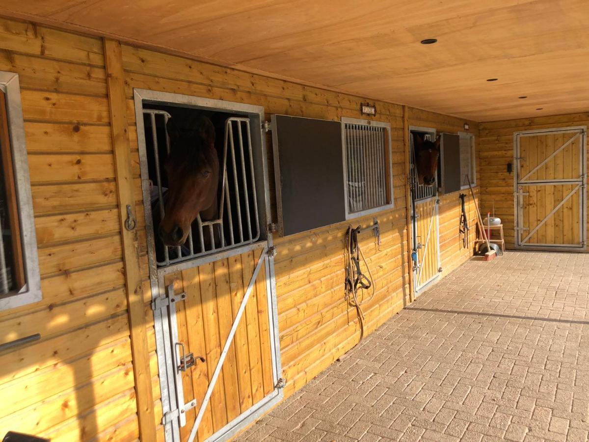 Bed and Breakfast Horse And Hound Riethoven Exteriér fotografie