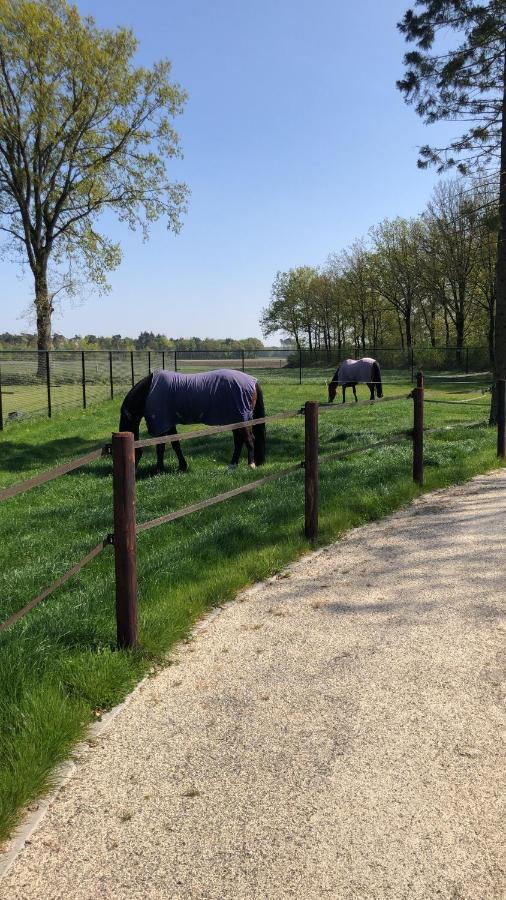 Bed and Breakfast Horse And Hound Riethoven Exteriér fotografie