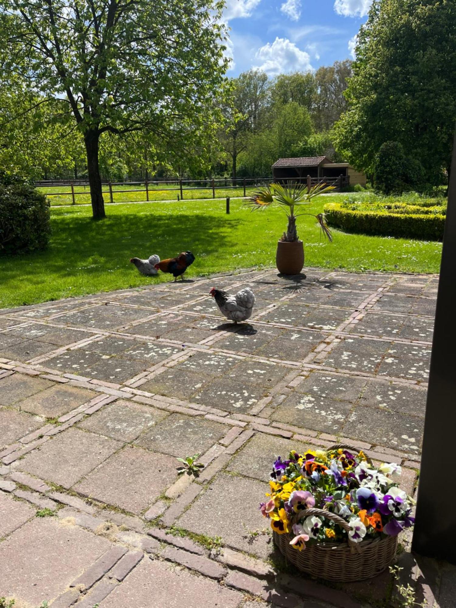 Bed and Breakfast Horse And Hound Riethoven Exteriér fotografie